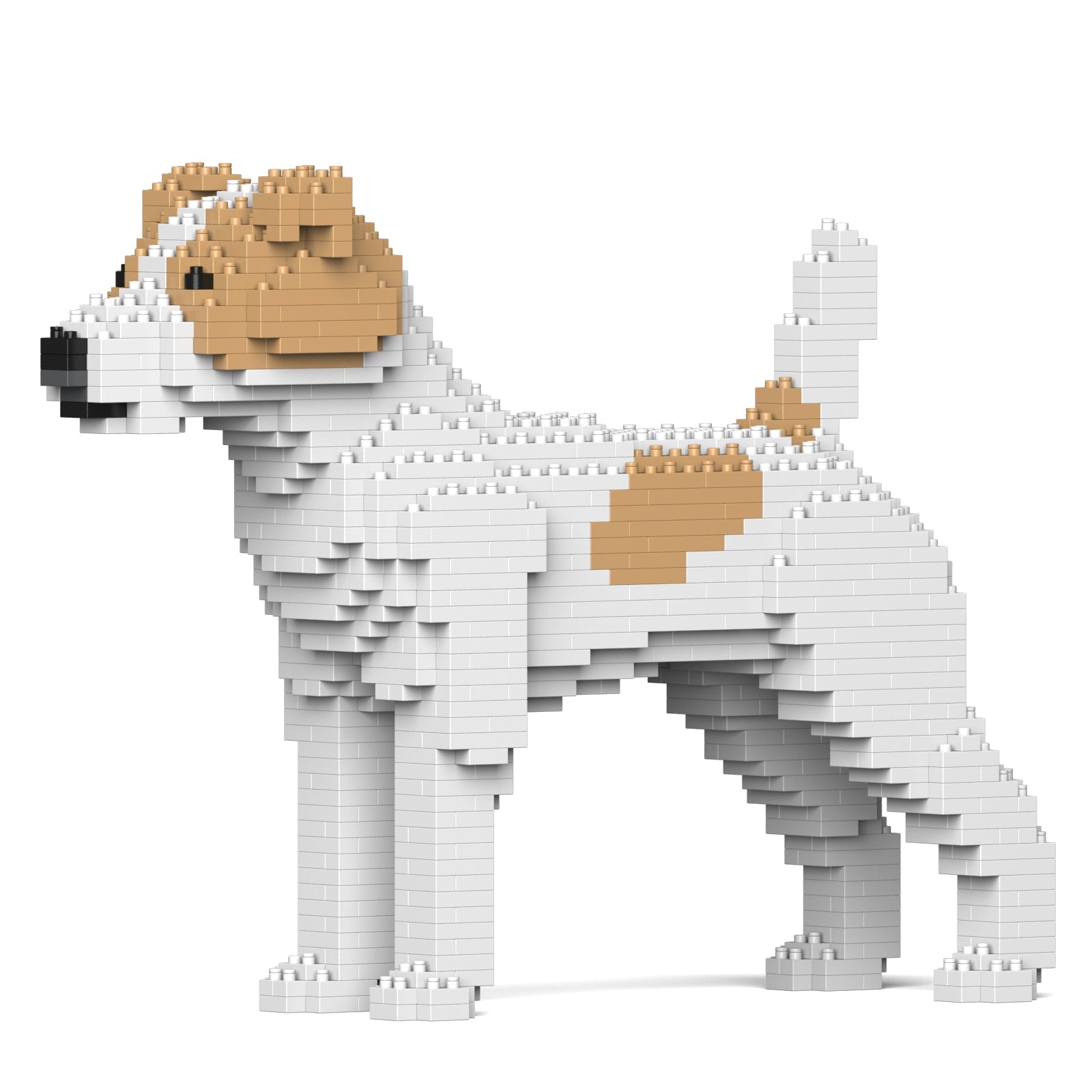 Jack Russell Terrier – JEKCA US