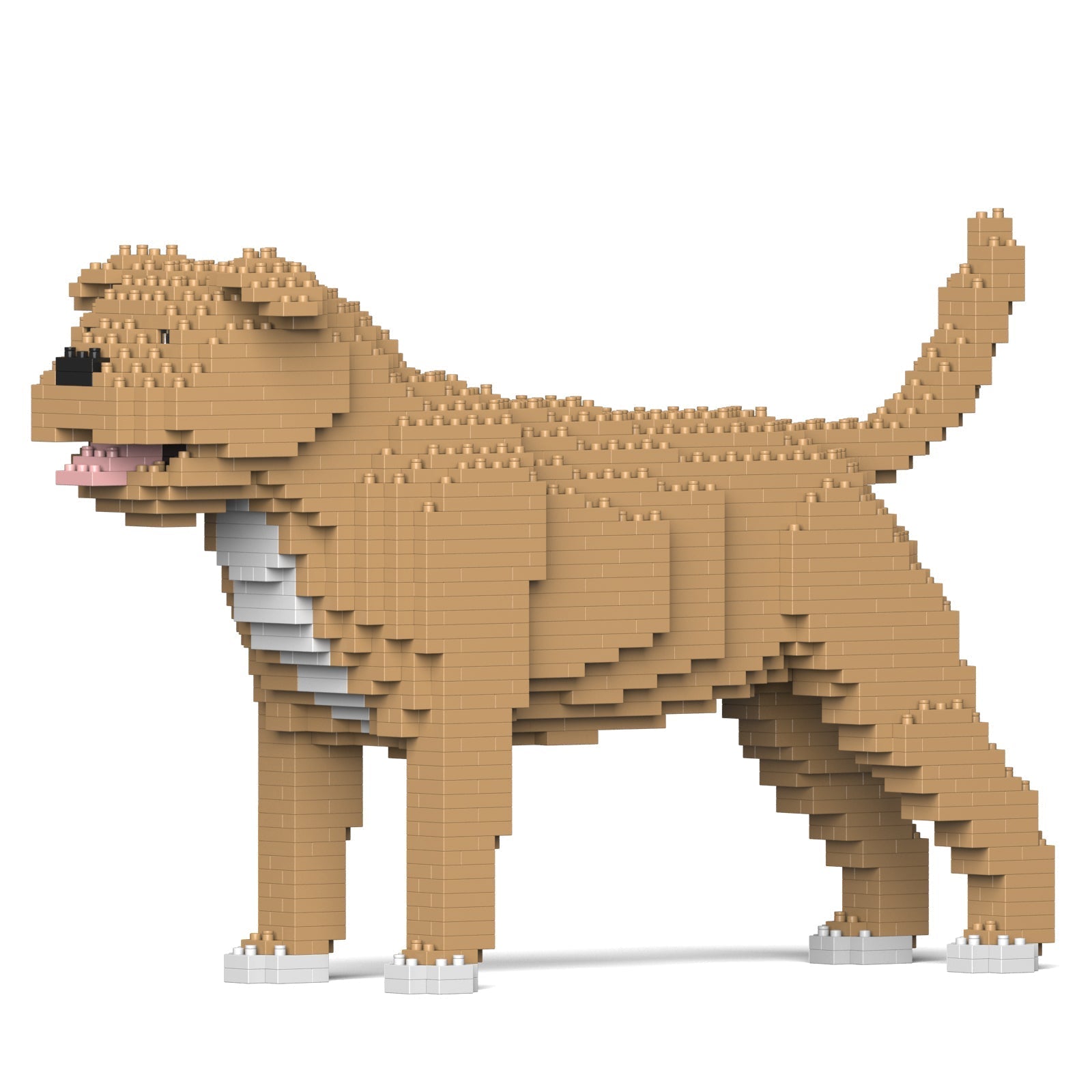 Staffordshire Bull Terrier – JEKCA US