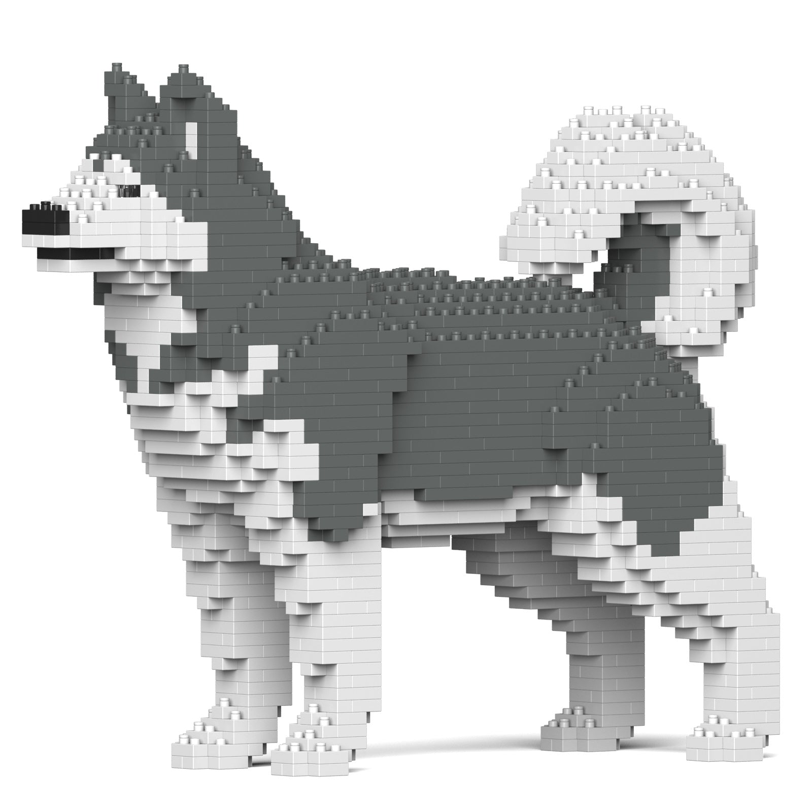 ST19PT51-M03-1600-1.jpg?v=