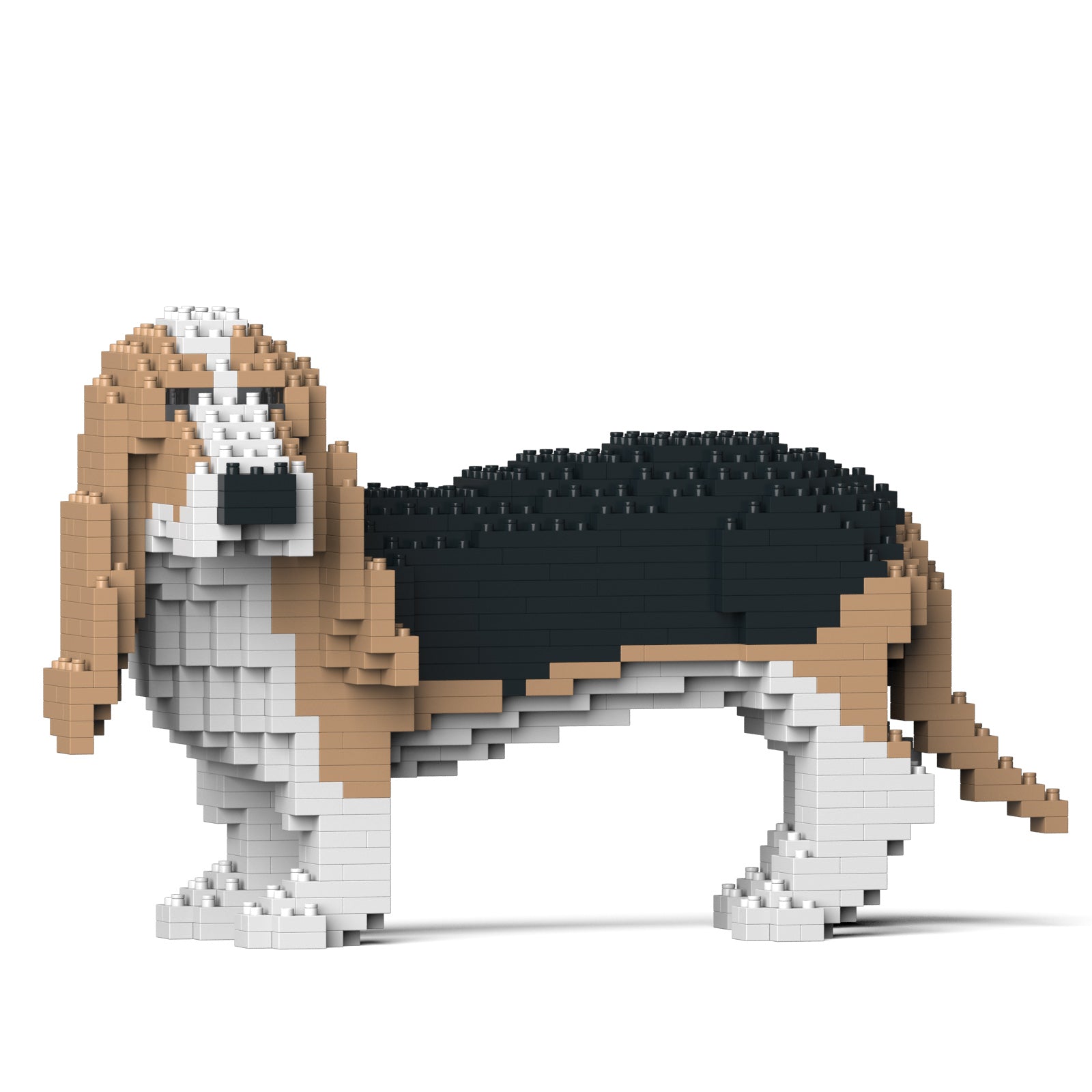Basset Hound – JEKCA US