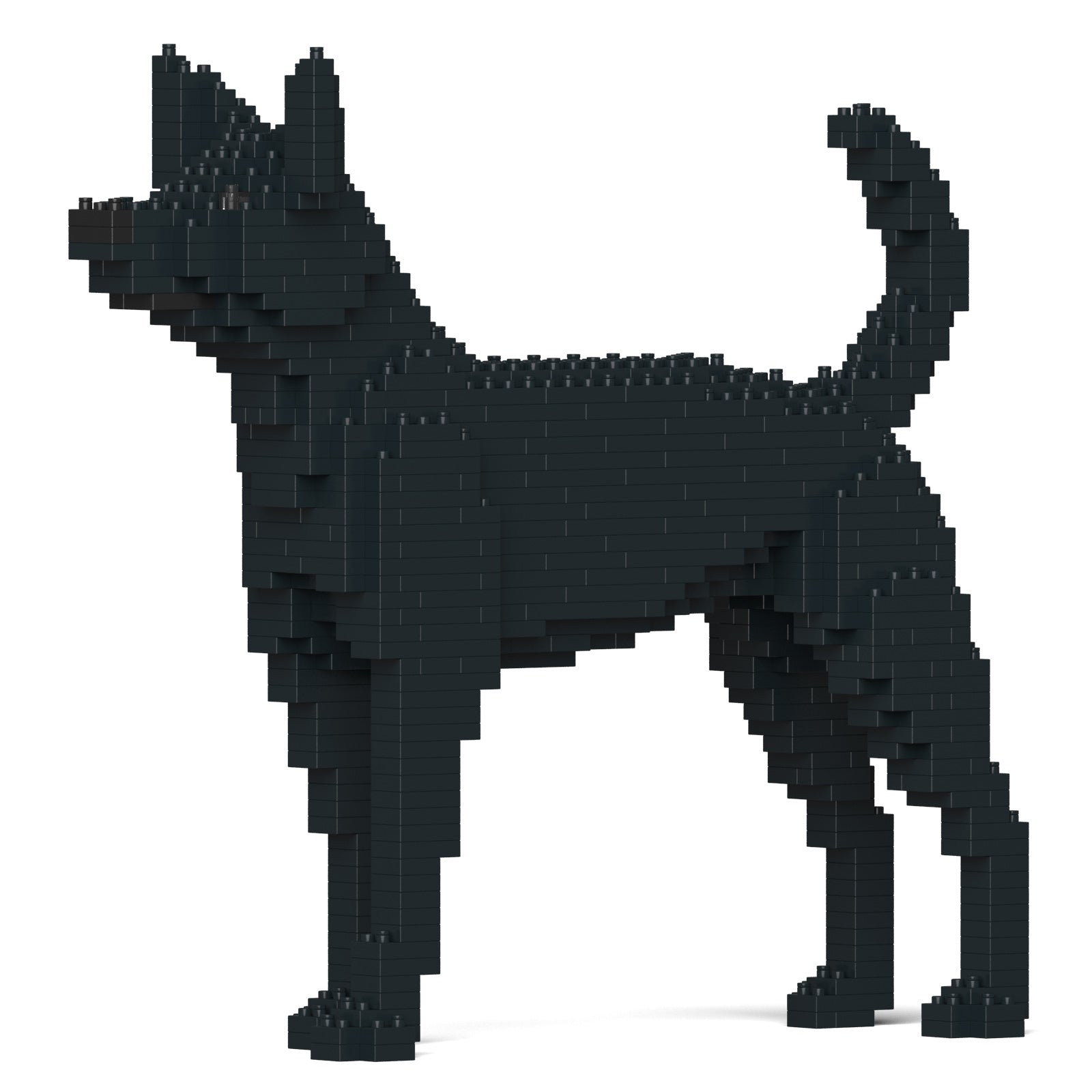 Formosan Mountain Dog – JEKCA US