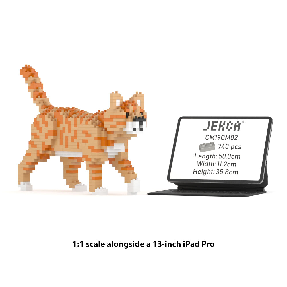 Chat Tigré Orange Mini 01