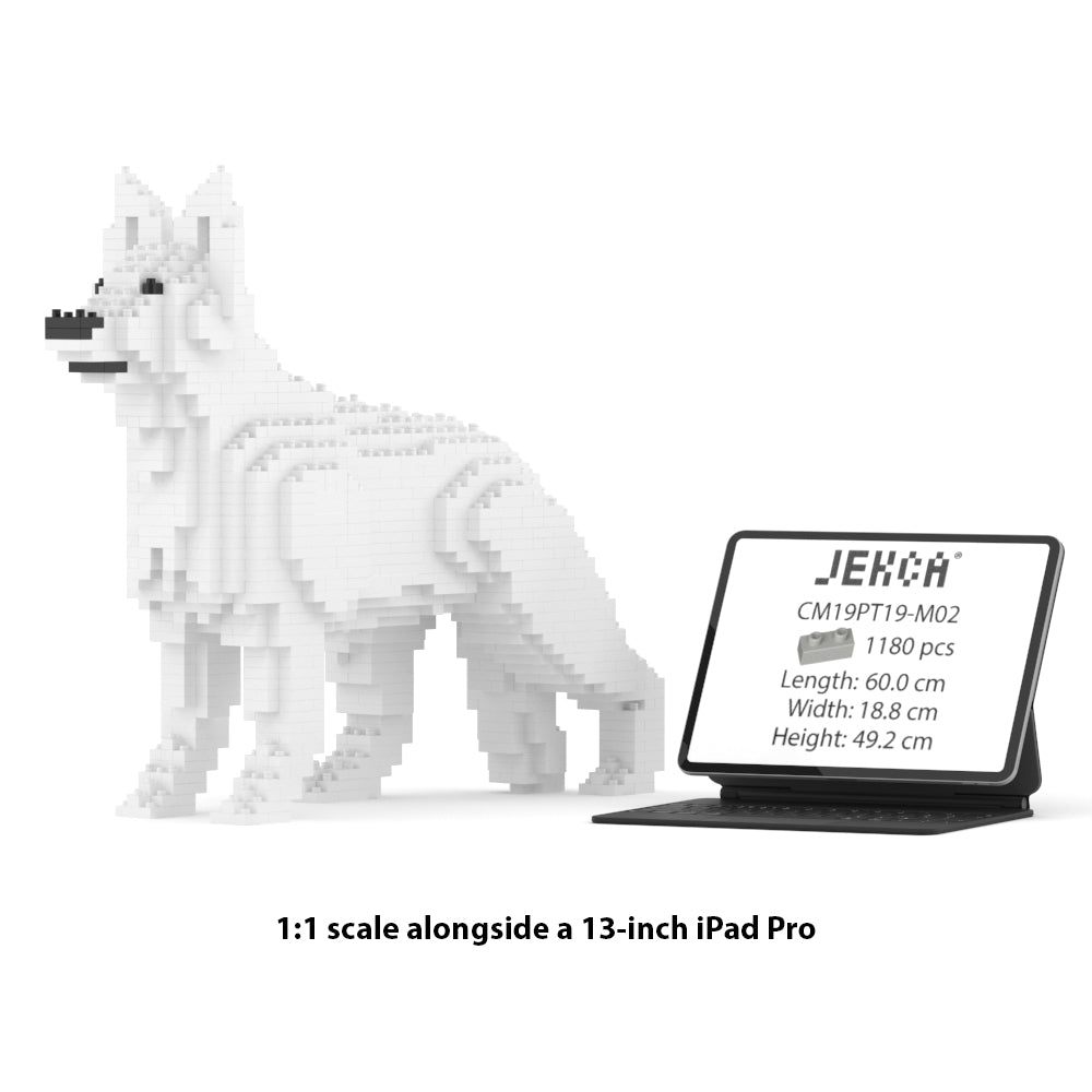 German Shepherd 01-M02