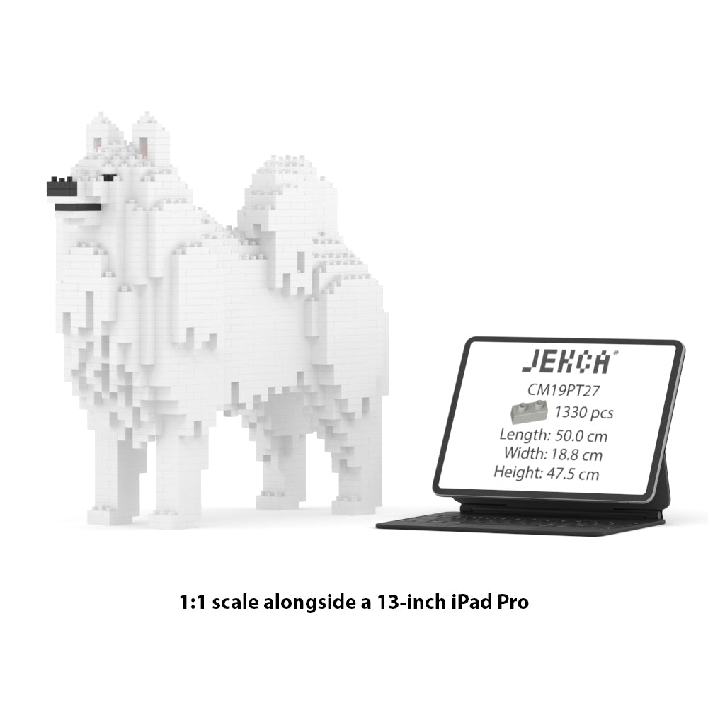 Samoyedo 01