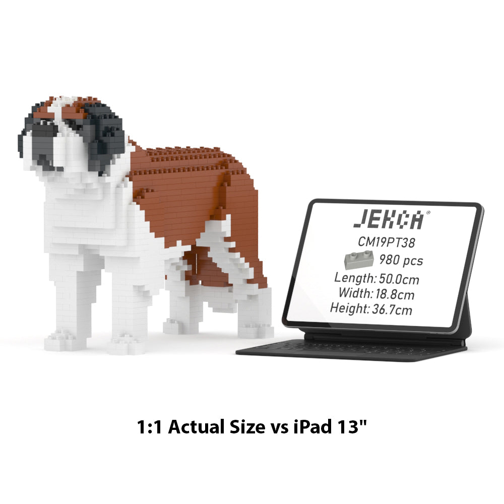 St. Bernard 01