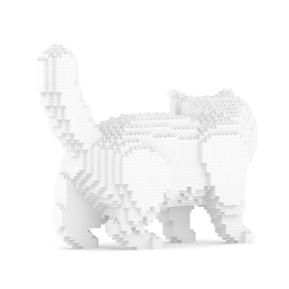 Gato exótico de pelo corto 01S-M03