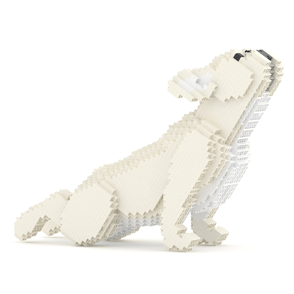 French Bulldog 05-M02