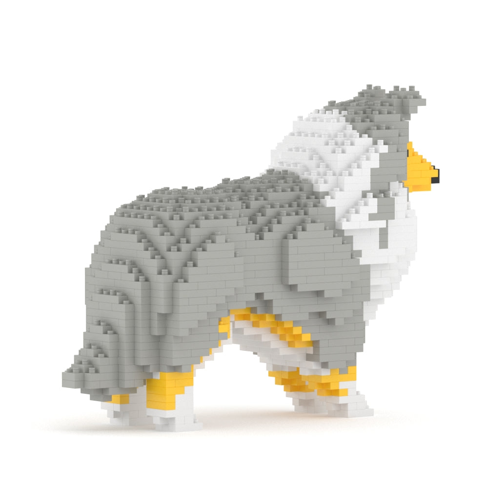 Shetland Sheepdog 01-M01
