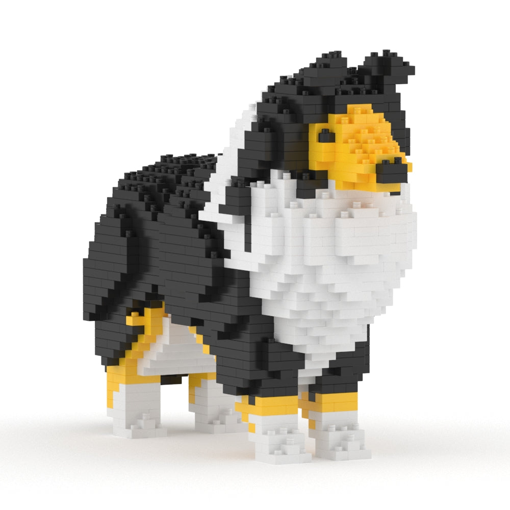 Shetland Sheepdog 01-S02