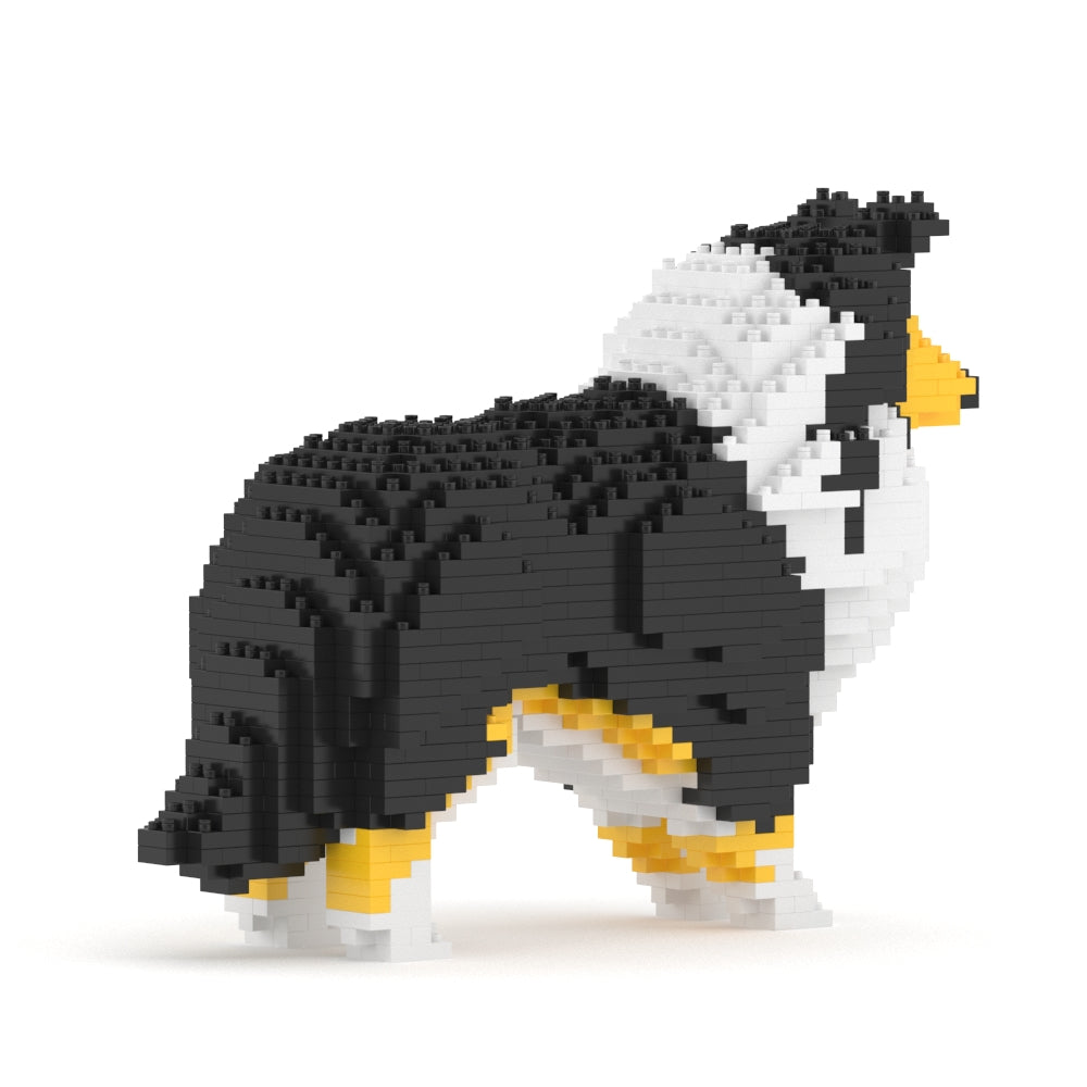 Shetland Sheepdog 01-S02
