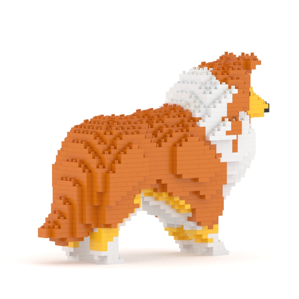 Shetland Sheepdog 01-S13