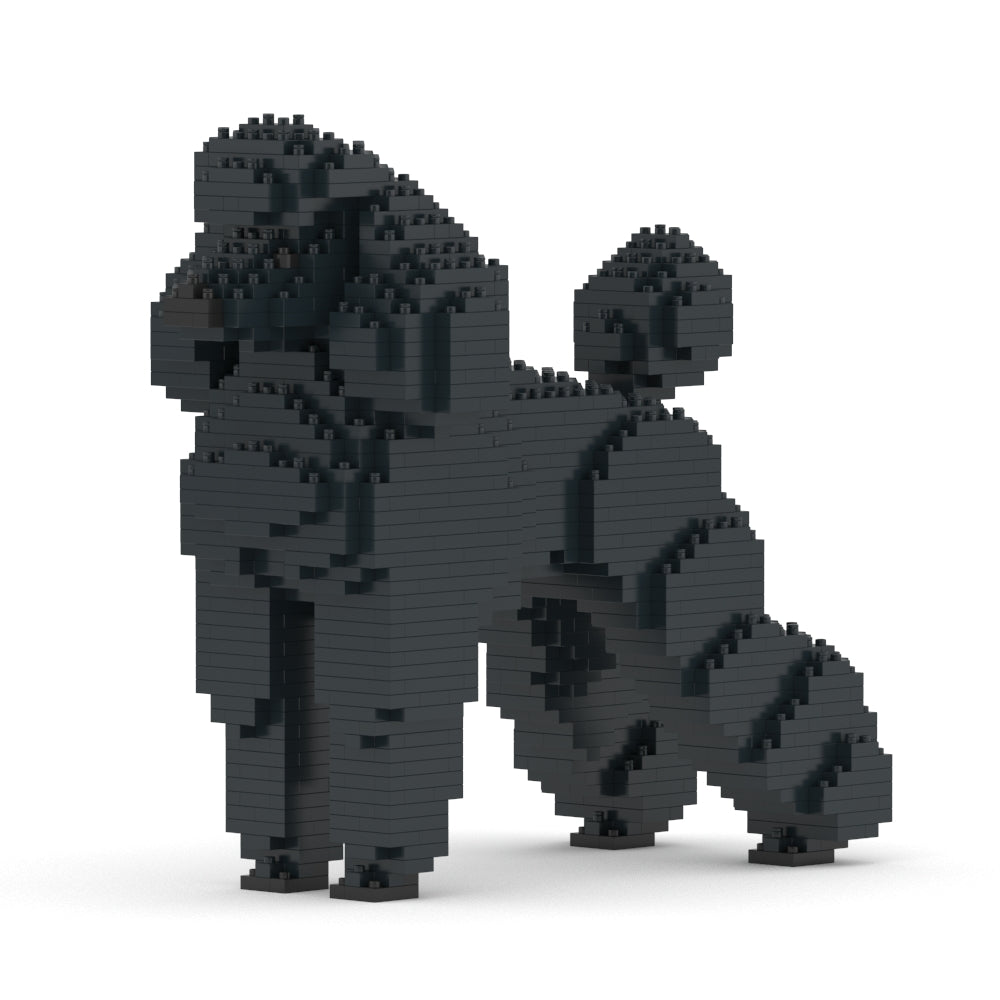 Standard Poodle 01-M01