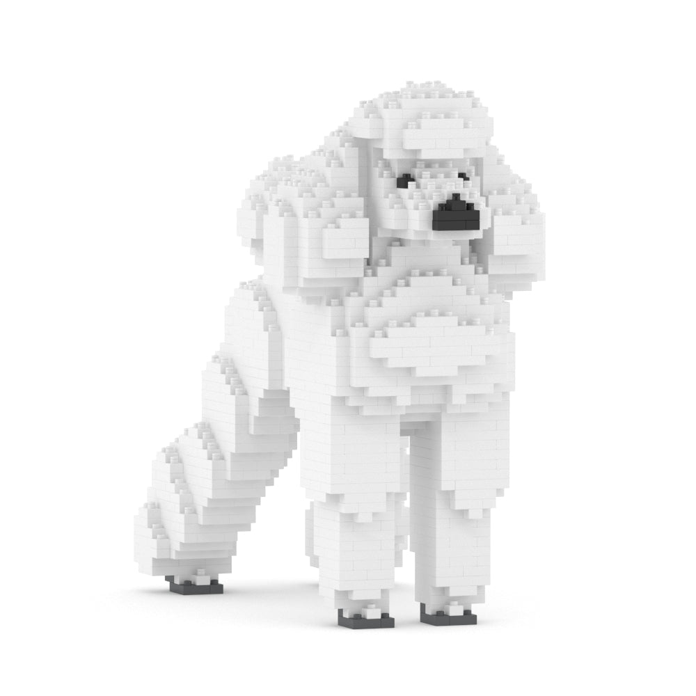 Standard Poodle 01-S01