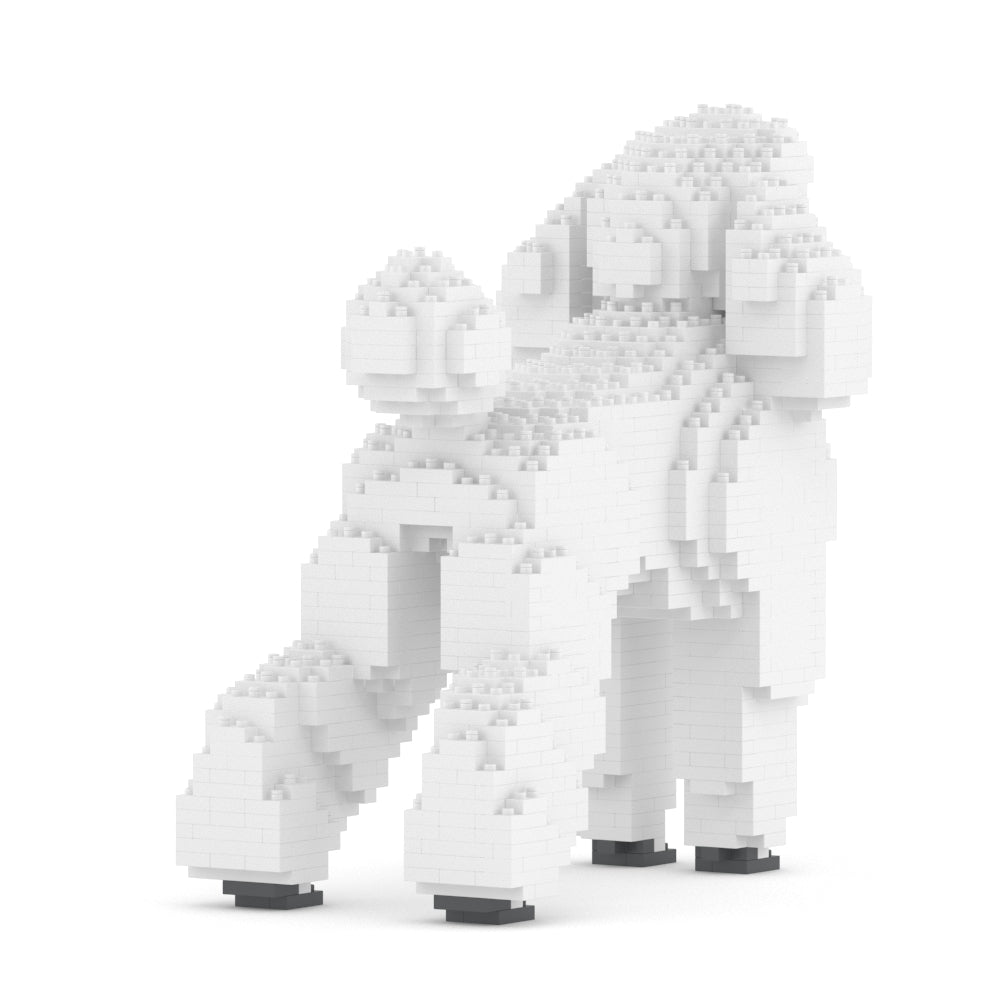 Standard Poodle 01-S01