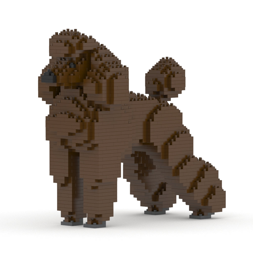 Standard Poodle 01-S11