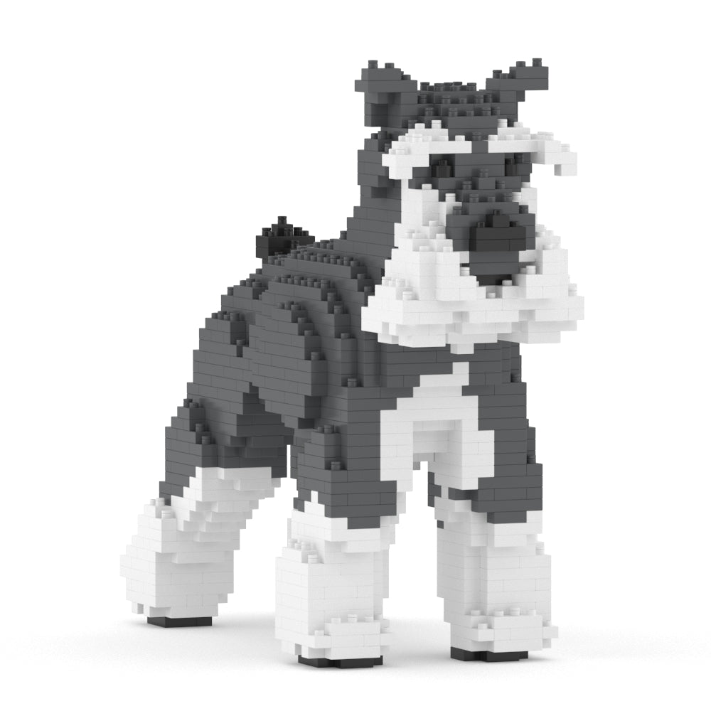 Standard Schnauzer 01-M01