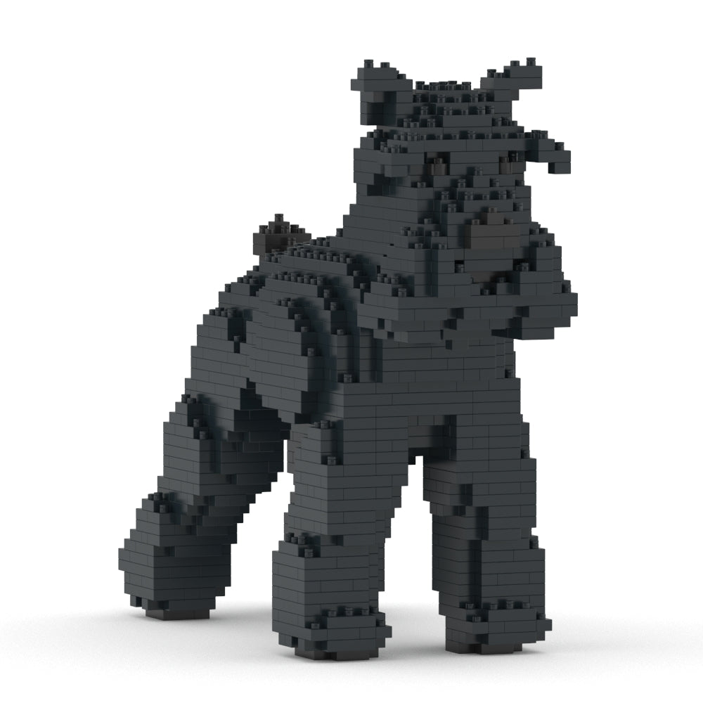 Standard Schnauzer 01-M03