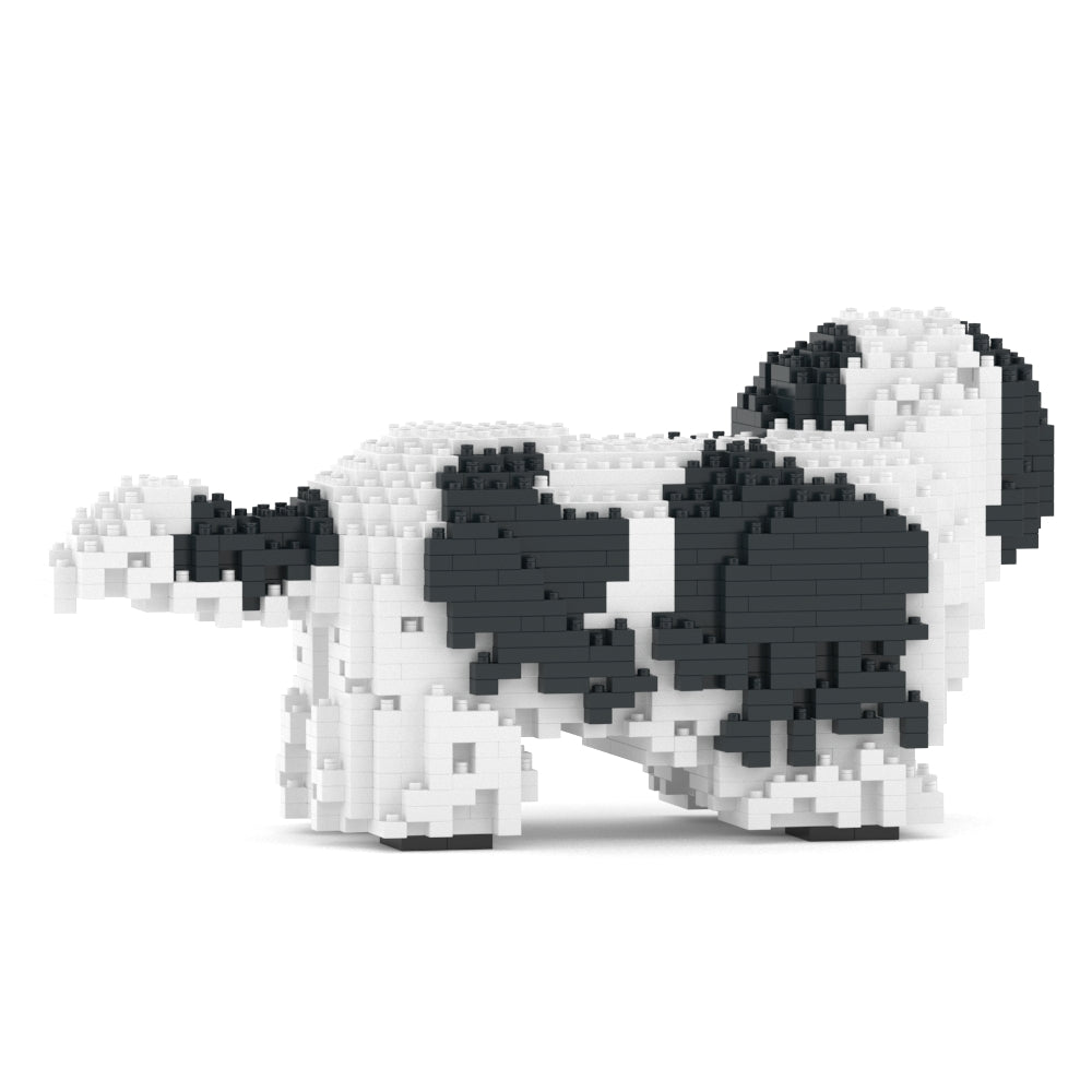 Shih Tzu 01-M02