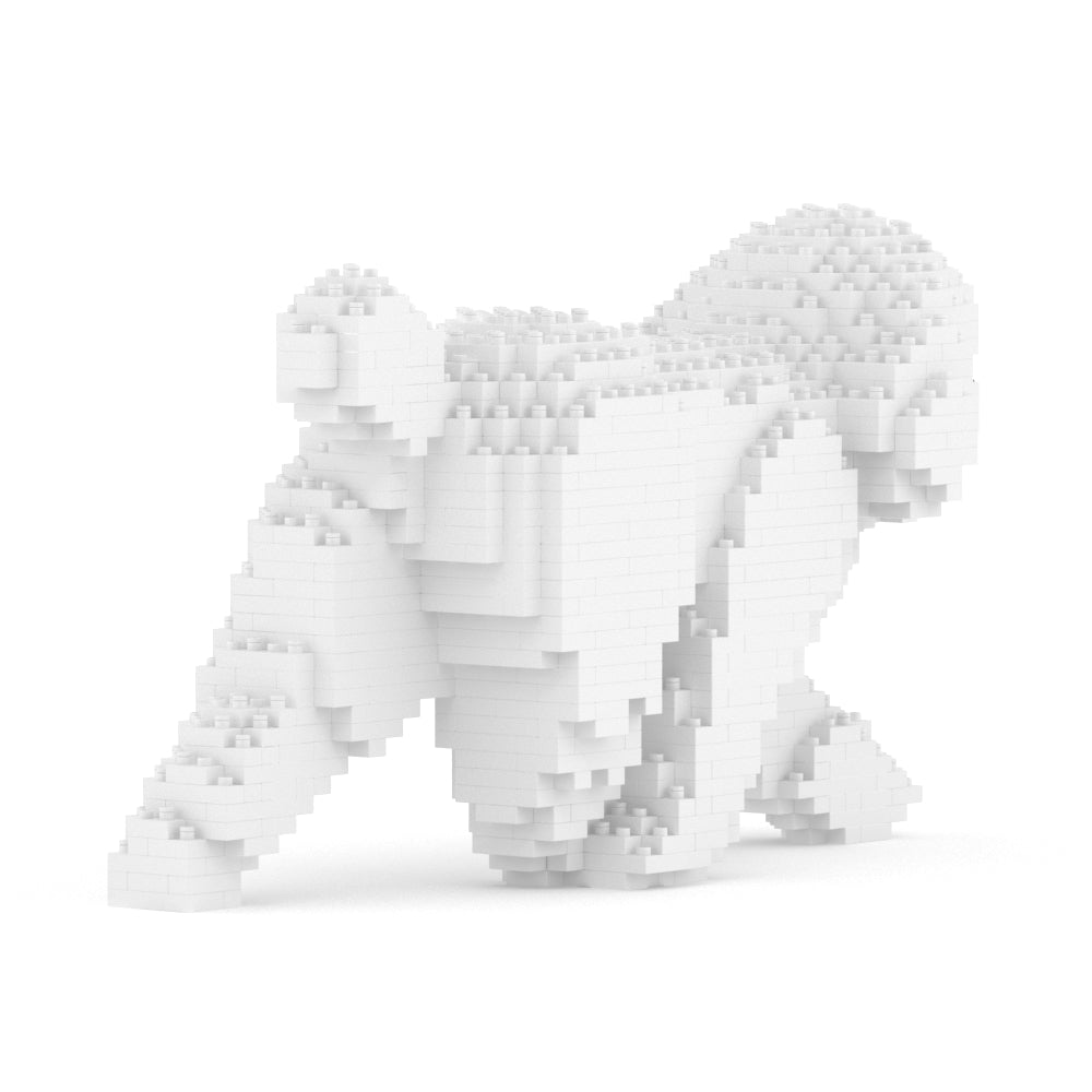 Caniche nain 02-M01