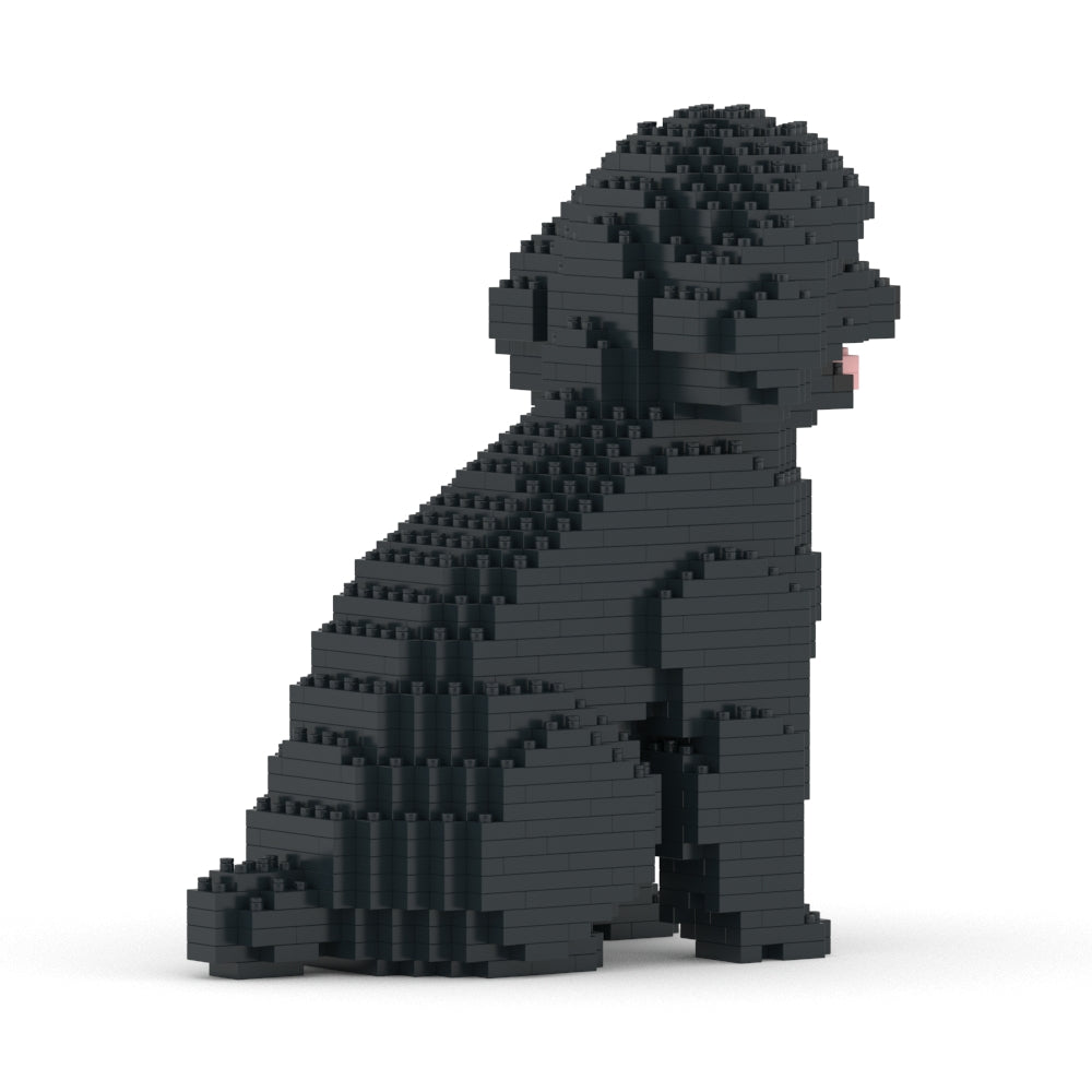Caniche de juguete 03-M02