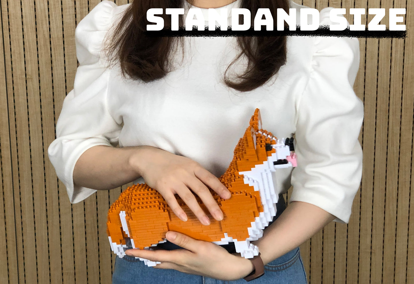 Welsh Corgi 02-M01
