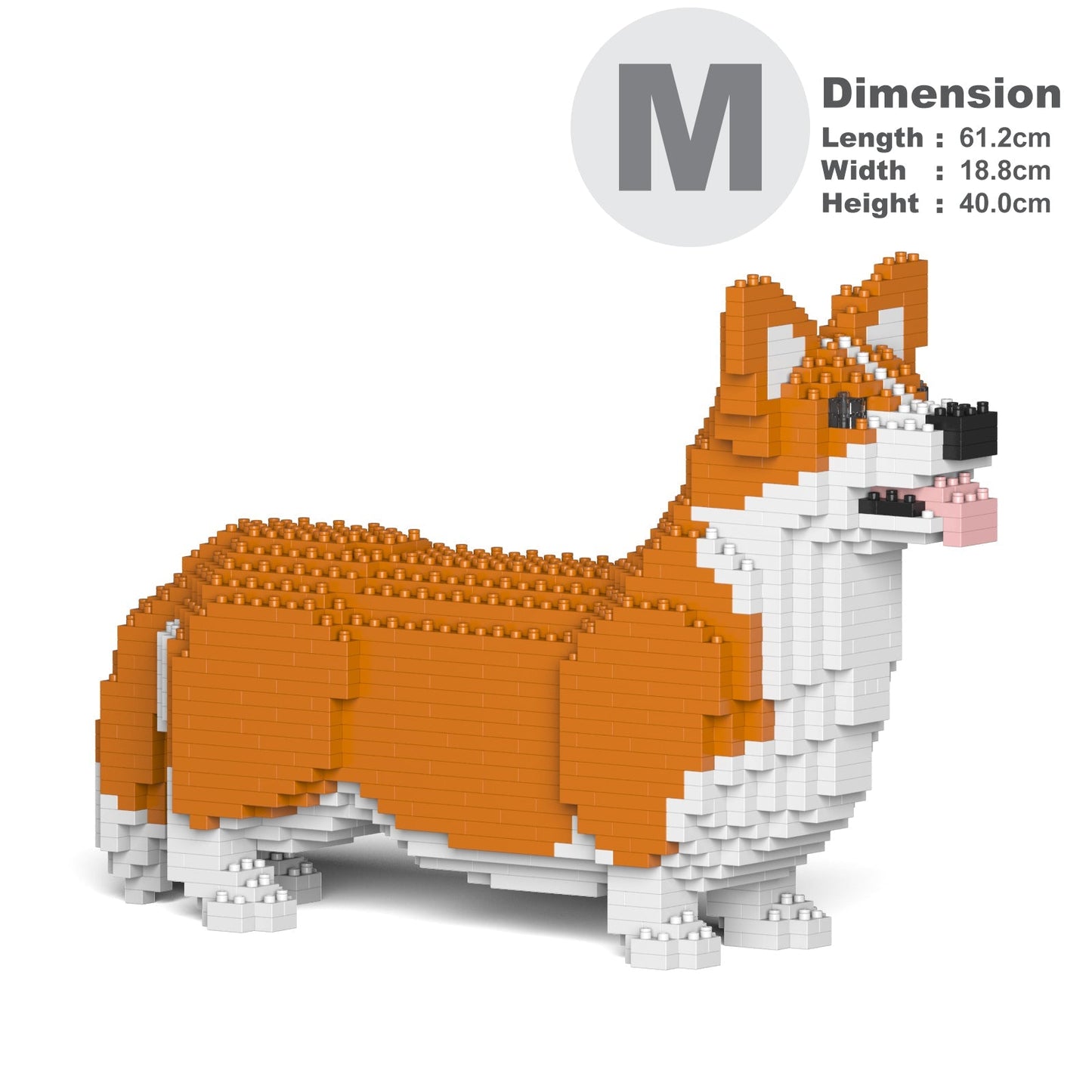 Welsh Corgi 02-M01