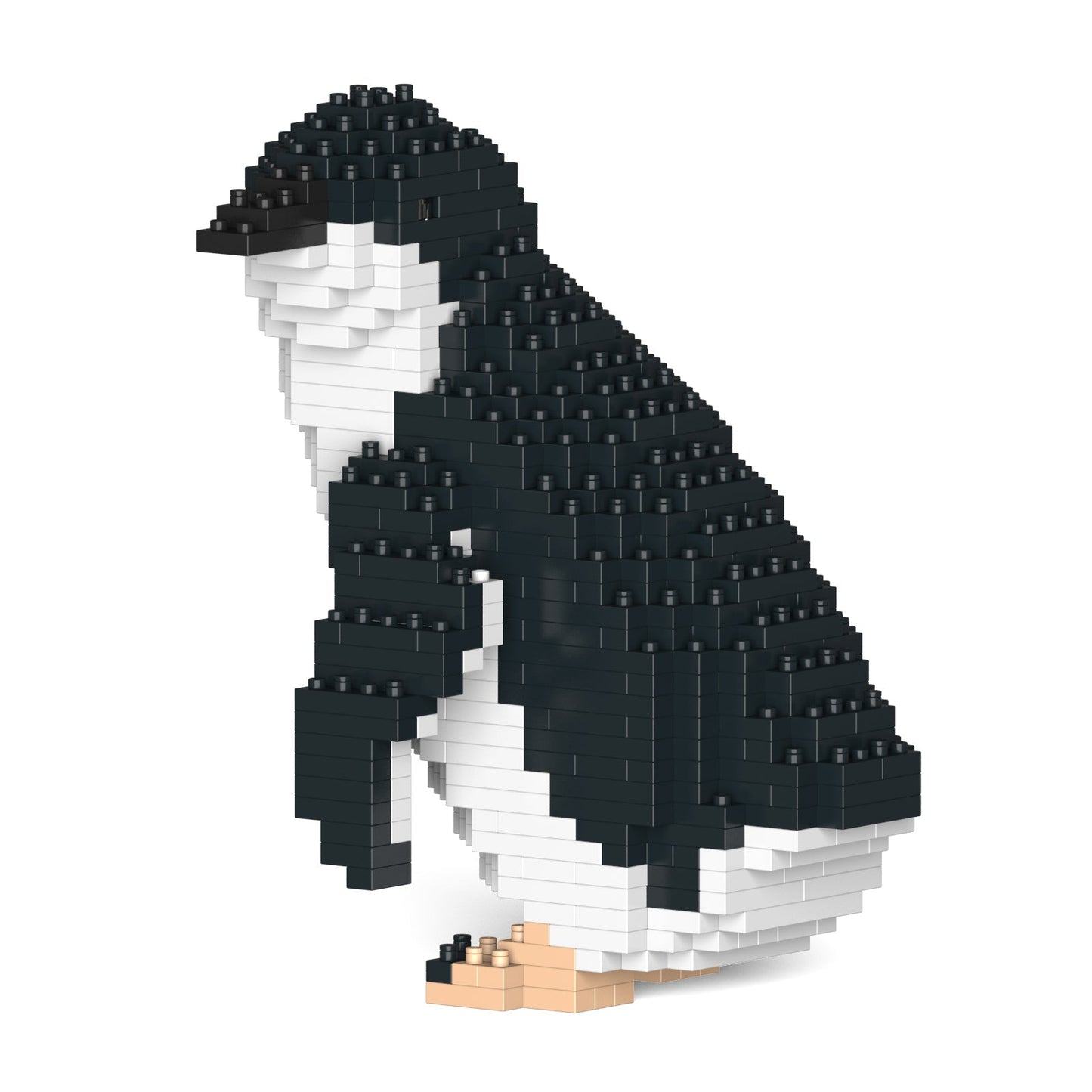 Little Penguin 02