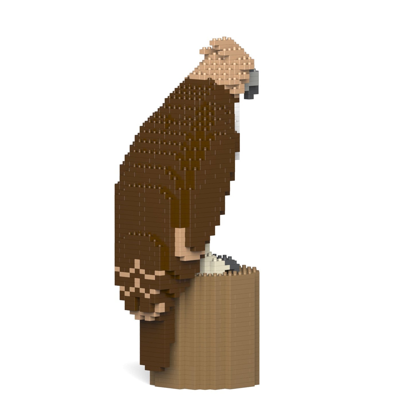 Philippine eagle 01