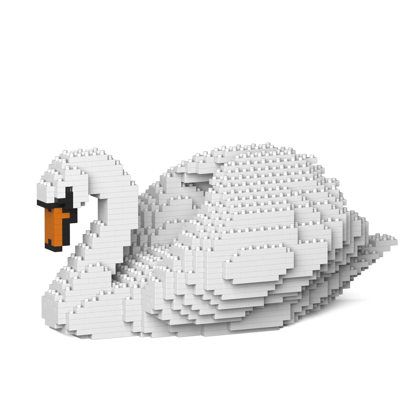 Swan 01
