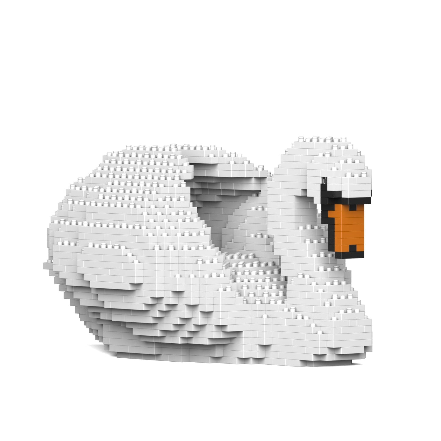 Swan 01