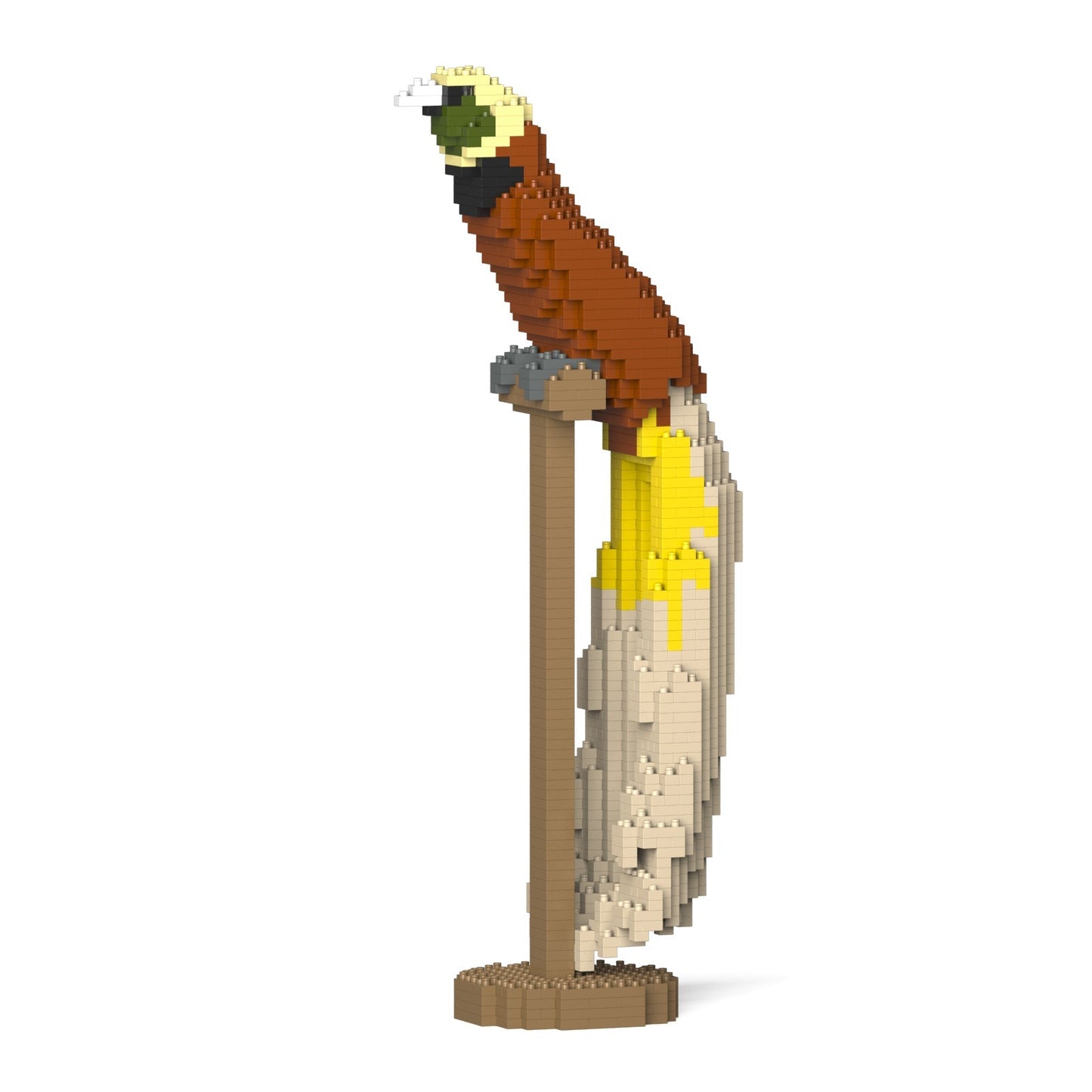 Bird-of-paradise 01