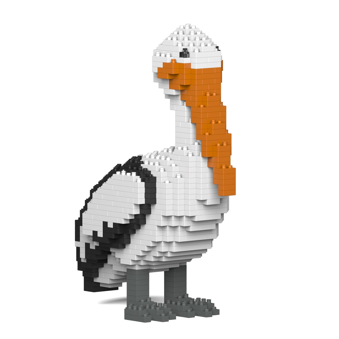 Pelican 01