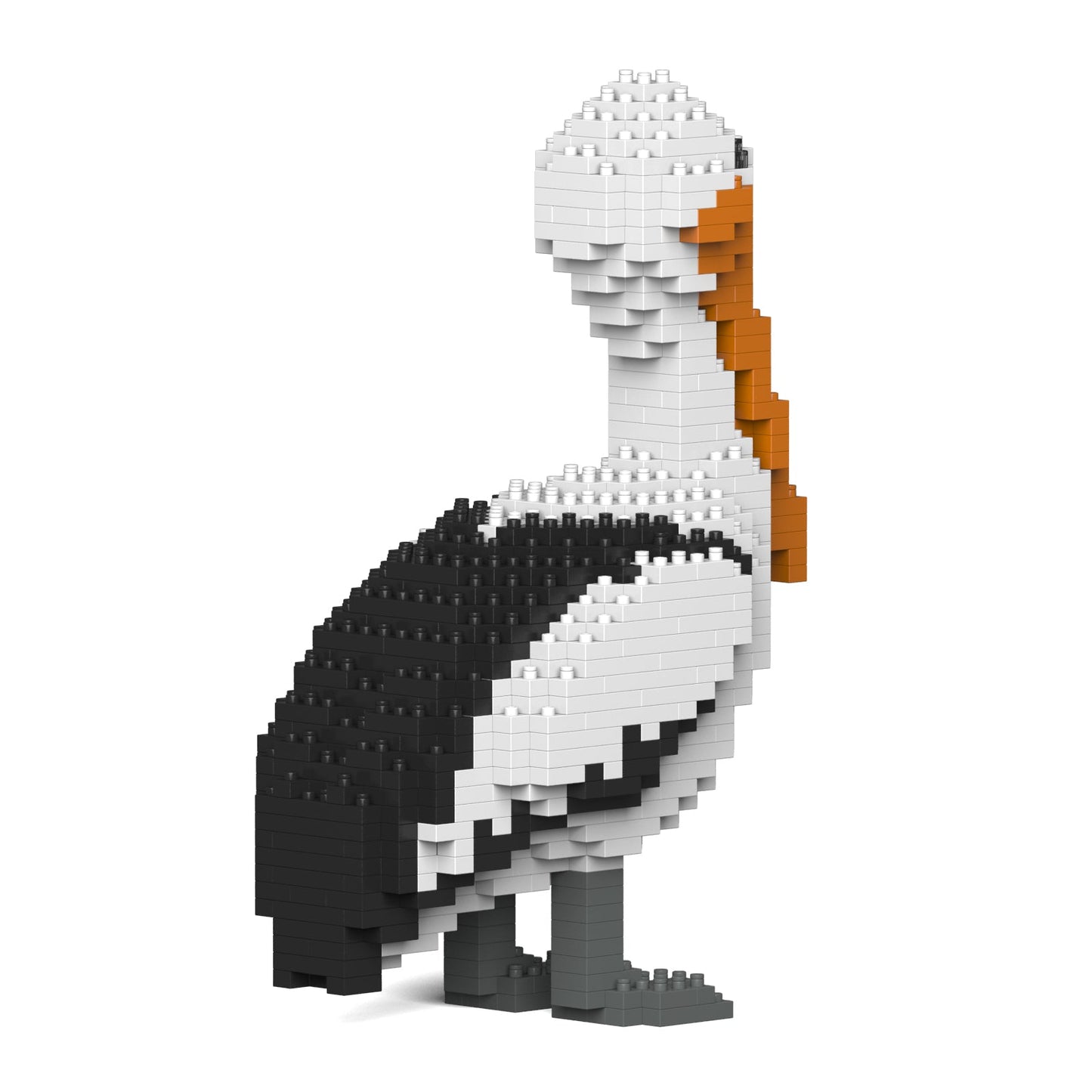 Pelican 01