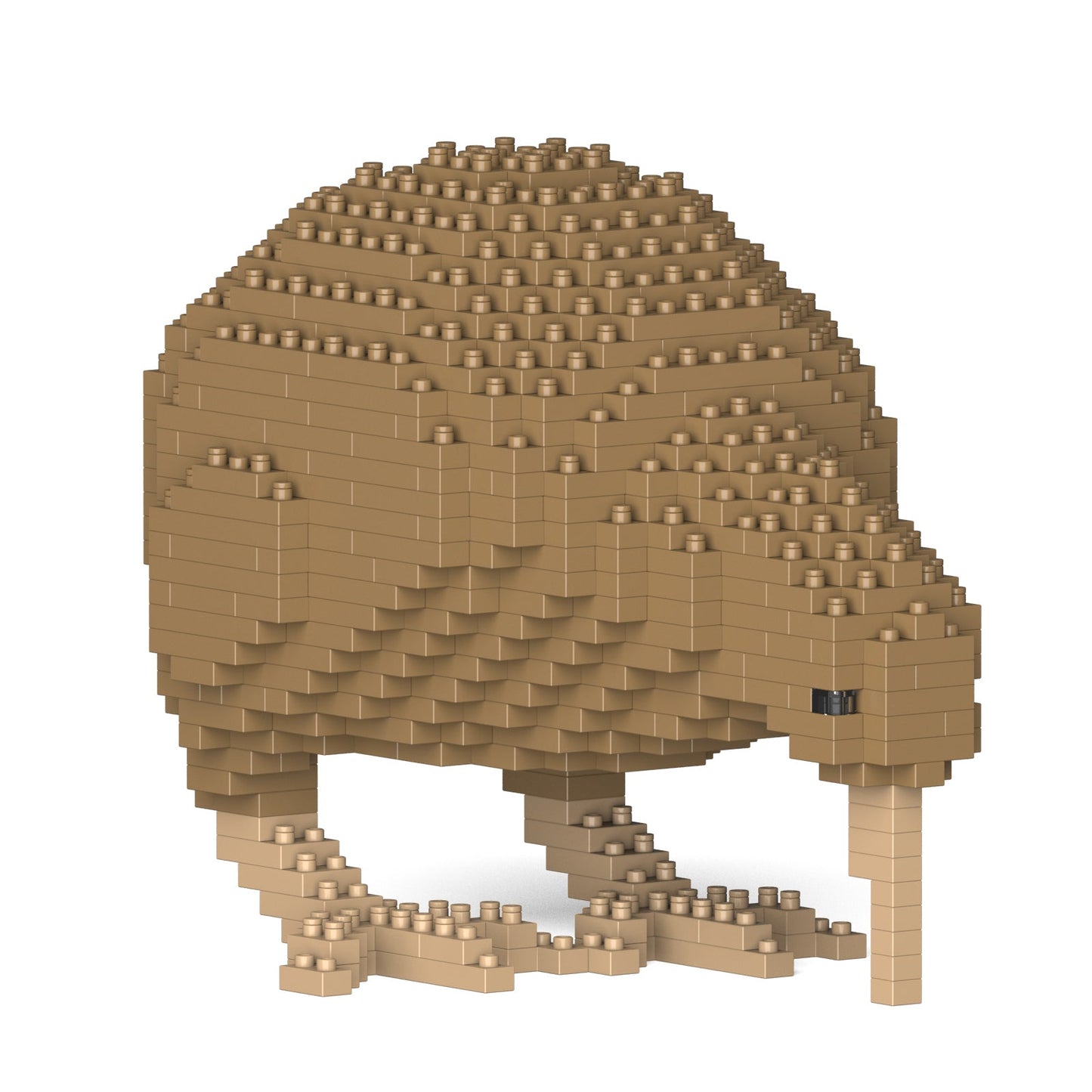 Kiwi 01S