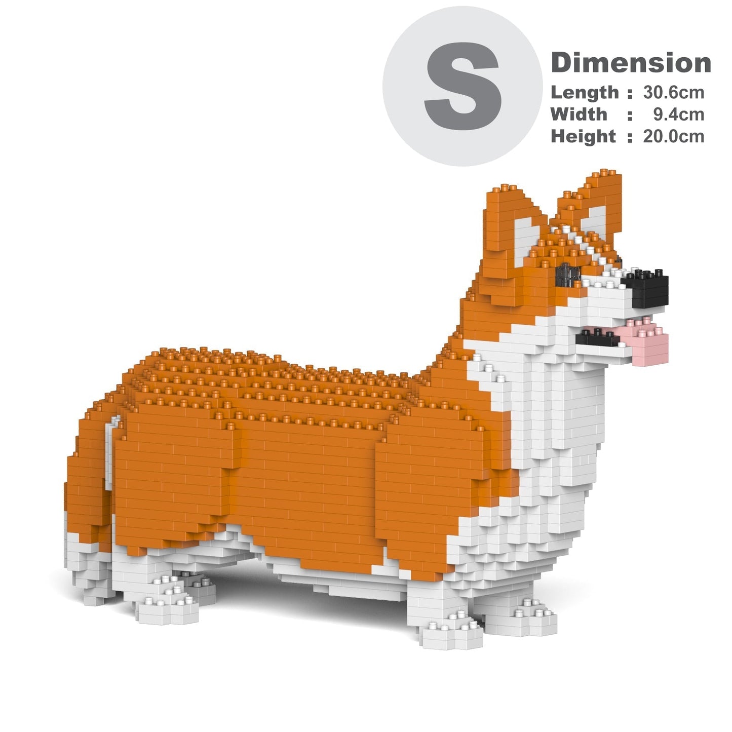 Welsh Corgi 02-M01