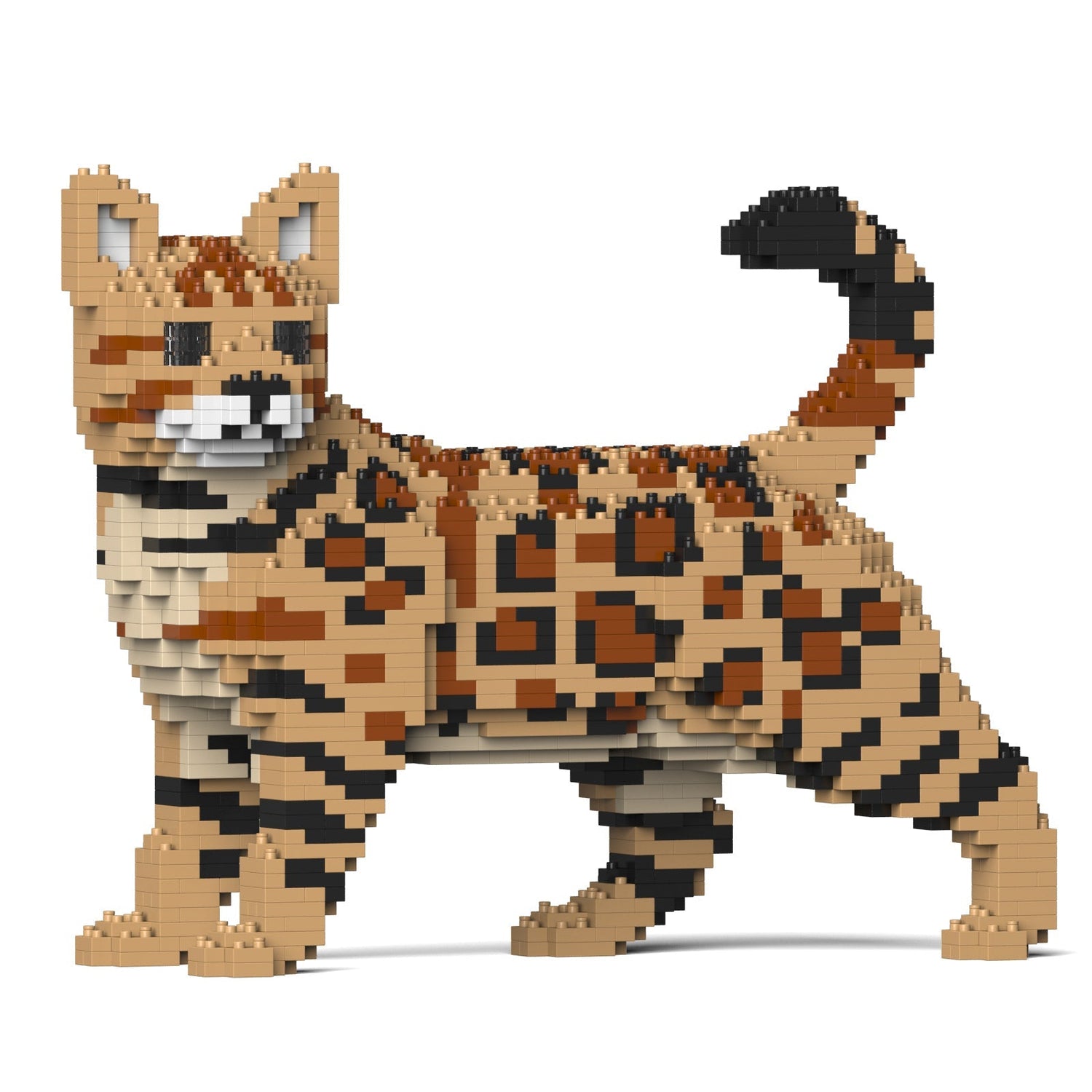 Bengal Cat