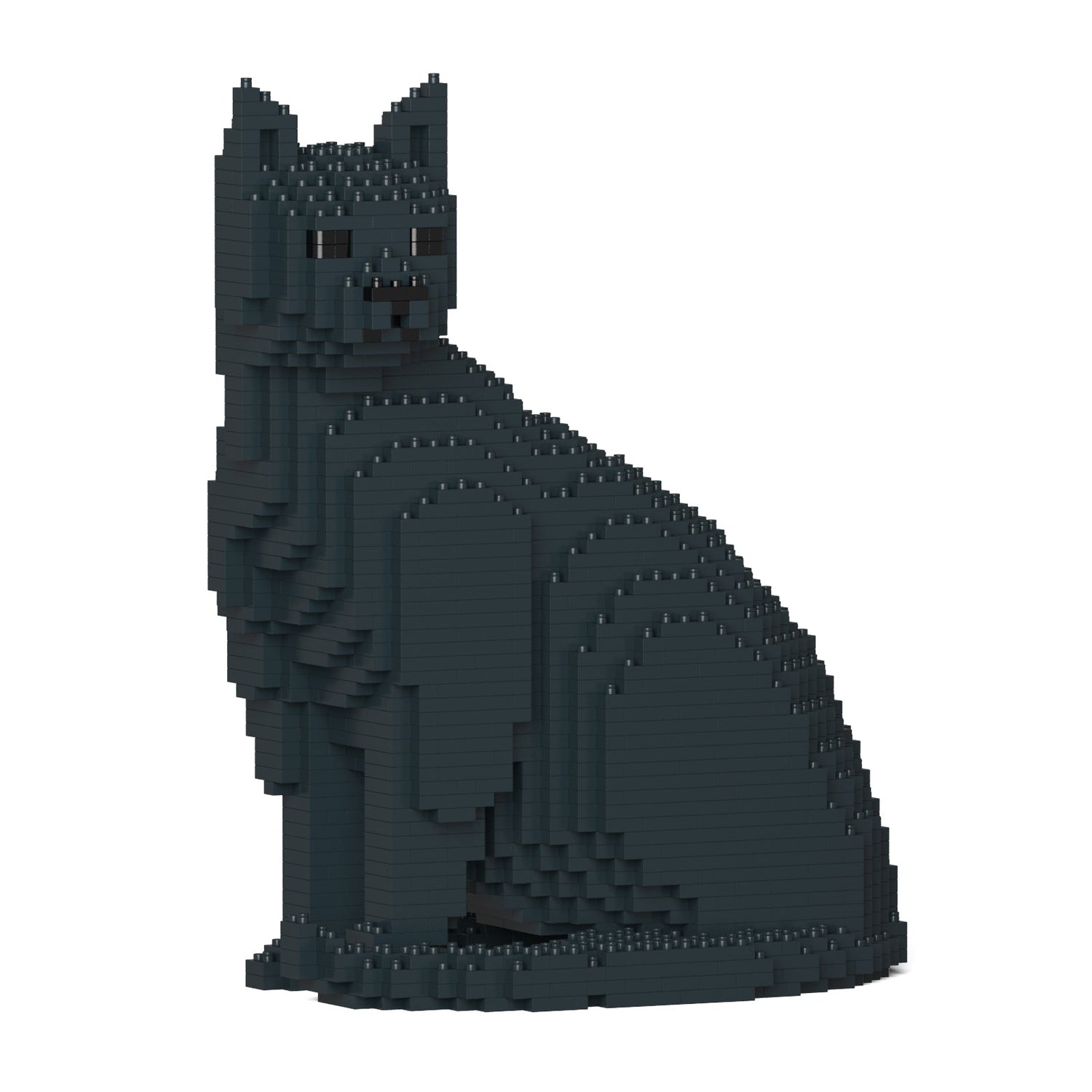 Black Cat