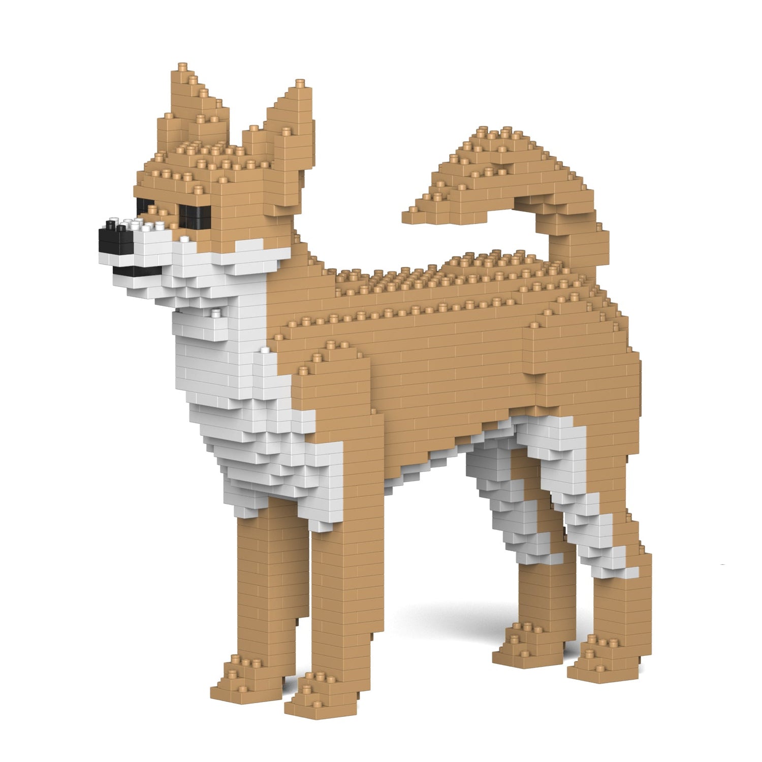 Chihuahua