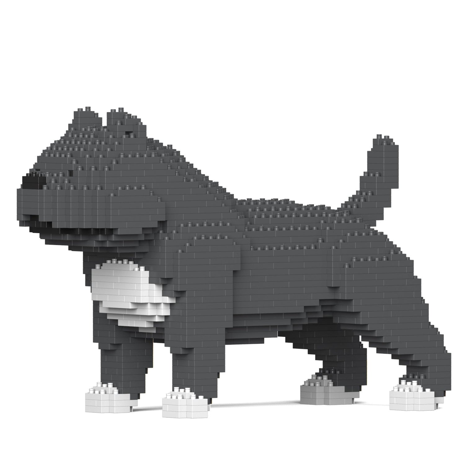 American Bully