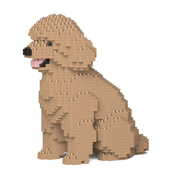 Toy Poodle