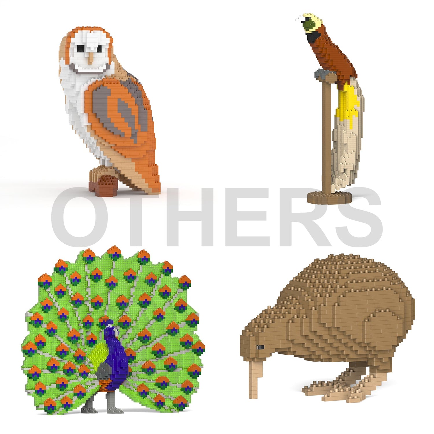 Other Bird