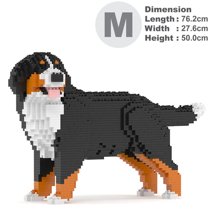 Bernese Mountain Dog 03B (version 2024)