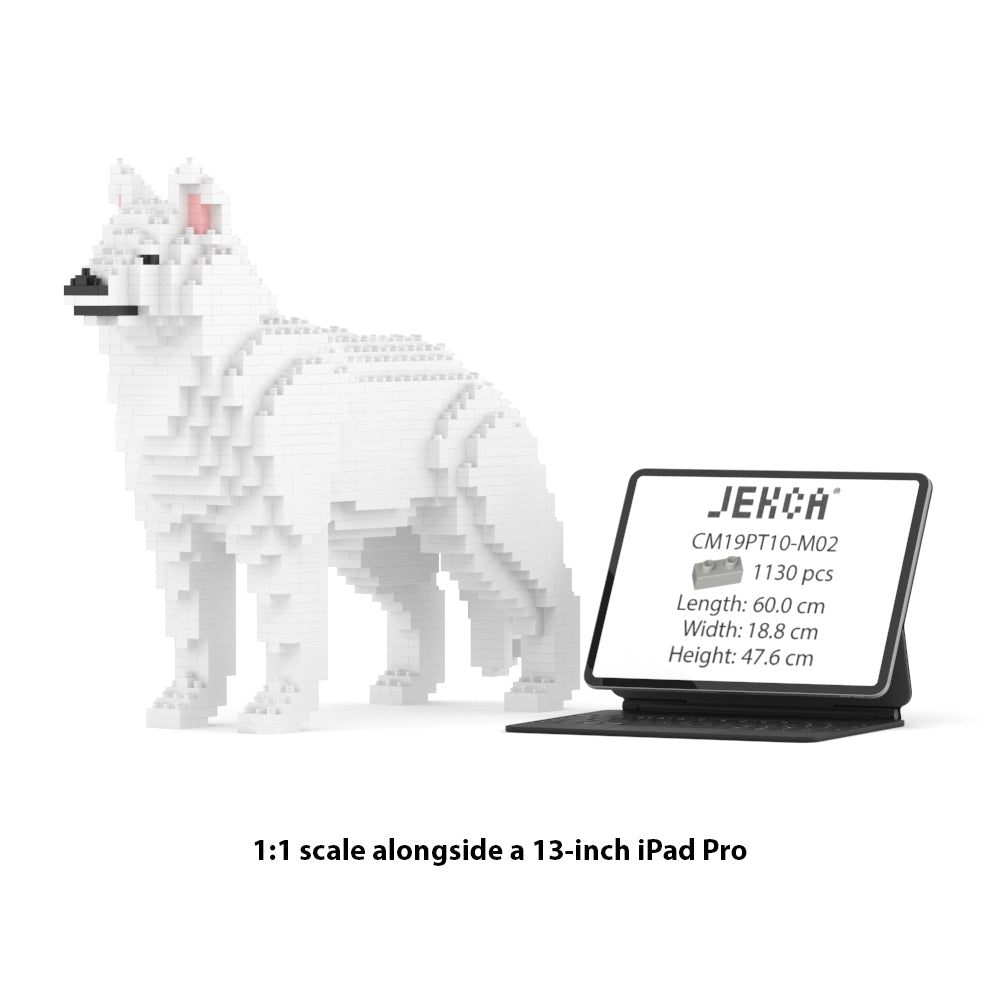 Husky 01-M02