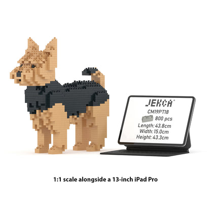 Yorkshire Terrier 01