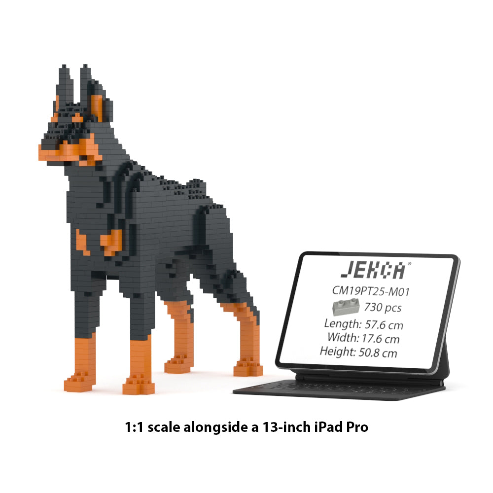Dóberman Pinscher 01-M01