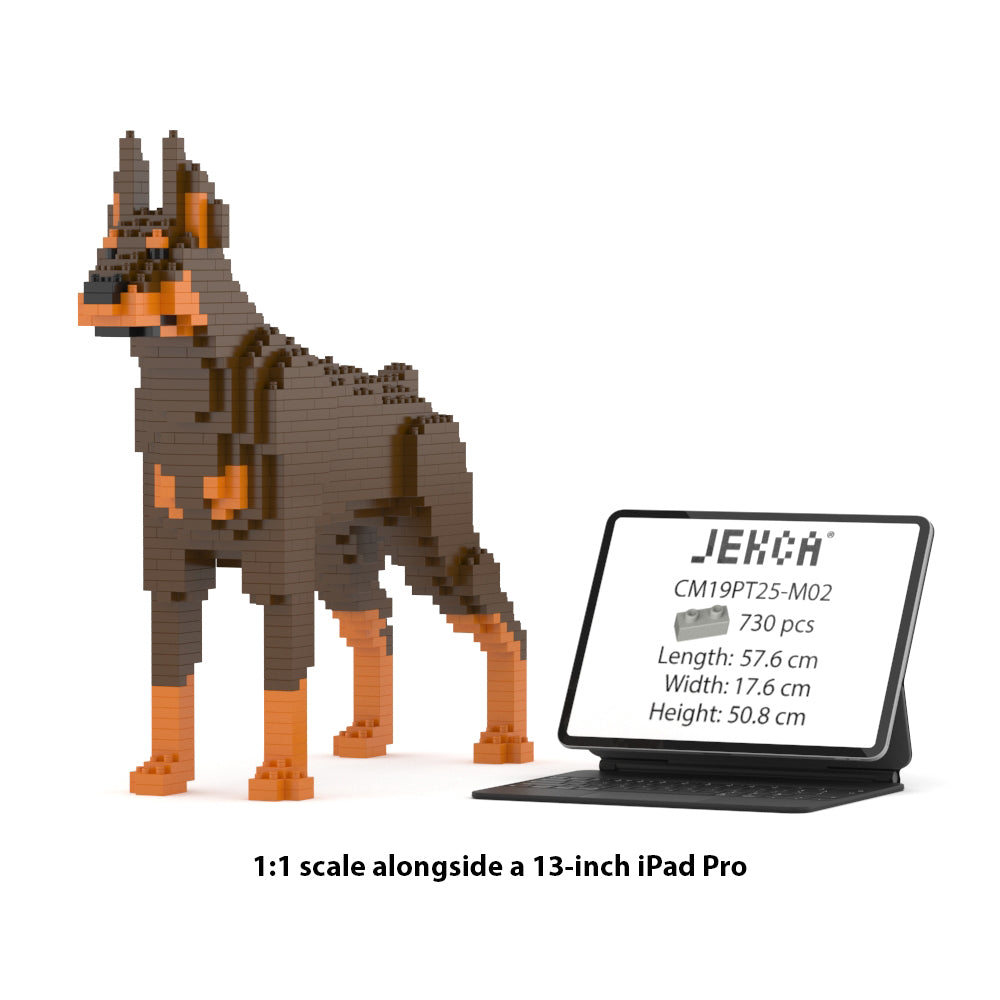 Dóberman Pinscher 01-M02