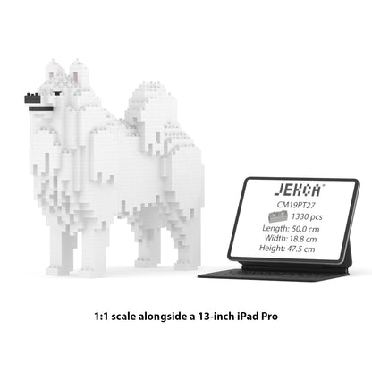 Samoyedo 01