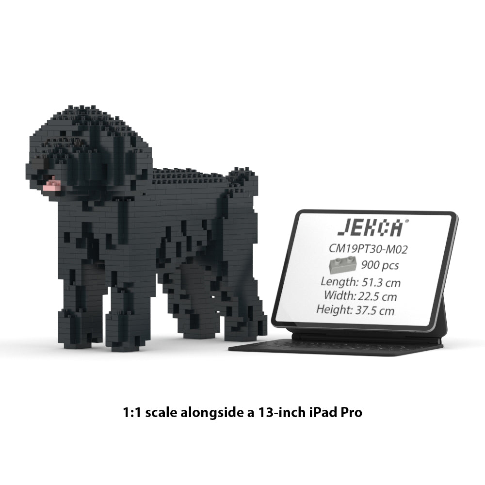 Caniche Toy 01-M02