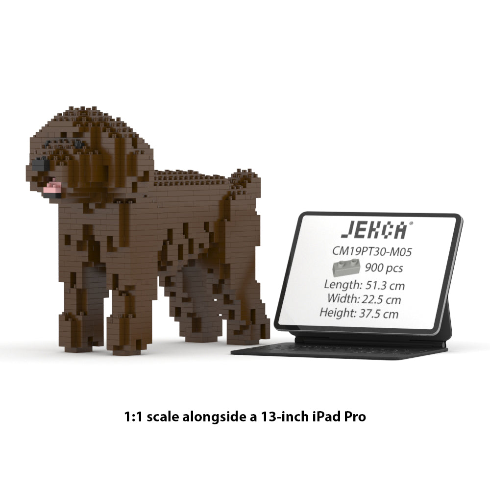 Caniche Toy 01-M05