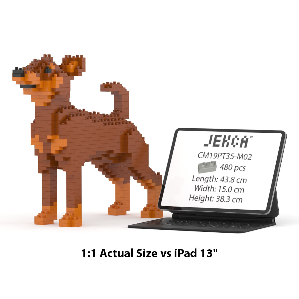Pinscher miniatura 01-M02